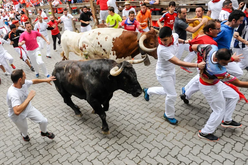 S&P 500: Today's Price Action and the Underlying Data